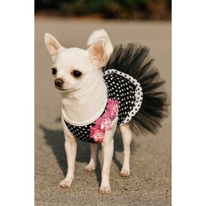 Polka Dot Dog Dress Tutu Skirt Puppy Pet Clothes Apparel Black Pink Small